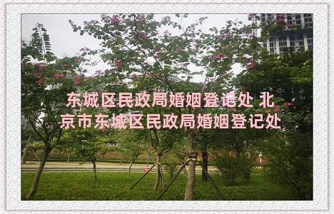 东城区民政局婚姻登记处 北京市东城区民政局婚姻登记处